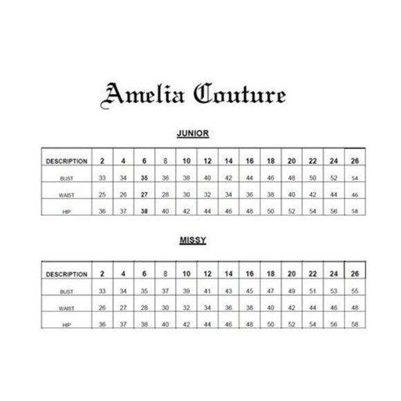 AMELIA NY floral print v-neck dress BNWT size 2 spring summer - Picture 4 of 4